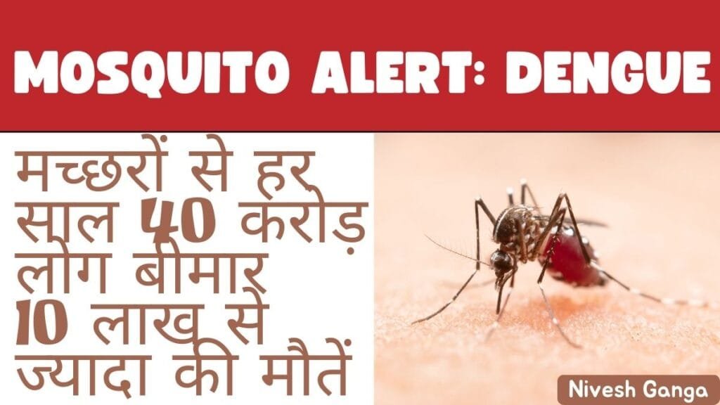 dengue kaise failta hai? Nivesh Ganga